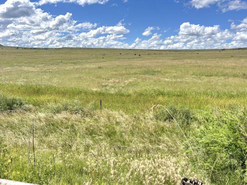0 Bedroom Property for Sale in Lindley Free State